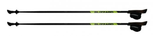 Blizzard Carbon Lite nordic walking poles, black/green