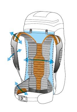 Hollow Back System