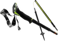 Leki Sherpa FX.One Carbon, naturalcarbon-neonyellow-white