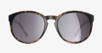 POC Know Tortoise Brown/Clarity Road/Sunny Silver