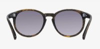 POC Know Tortoise Brown/Clarity Road/Sunny Silver