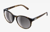 POC Know Tortoise Brown/Clarity Road/Sunny Silver