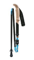 Swix X-Trail Carbon